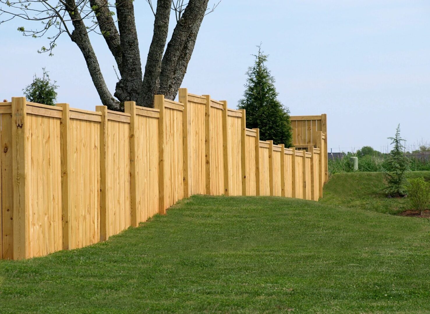 A wooden fence with grass in the foreground.